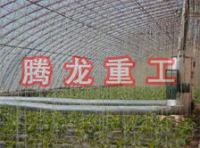 大棚花卉供暖設(shè)備、大棚卉采暖設(shè)備、大棚花卉取暖設(shè)備