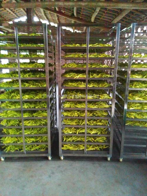 黃花菜烘干機(jī)、黃花菜烘干設(shè)備、黃花菜干燥機(jī)、黃花菜干燥設(shè)備、